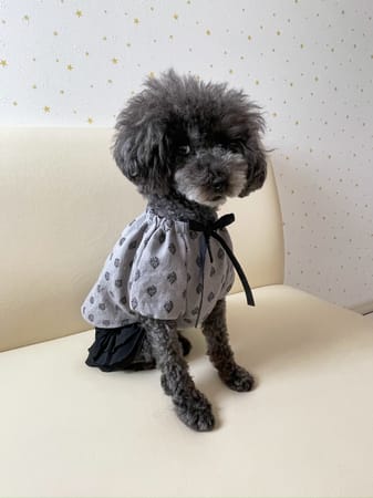 ちゃちゃさんの作品