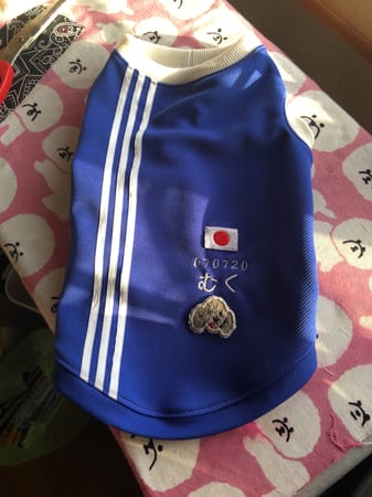 みちもこさんの作品