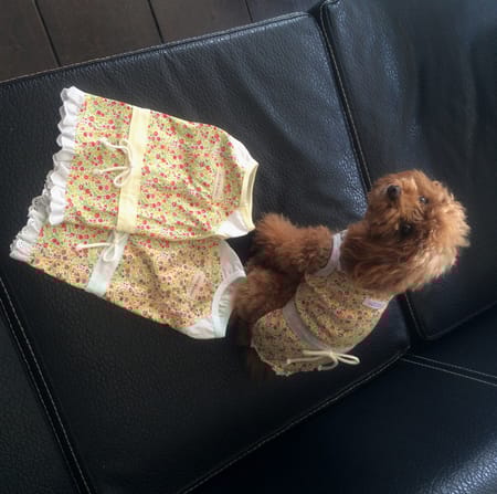 らいこさんの作品