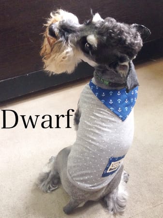 Dwarfさんの作品