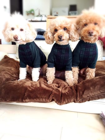 blancoさんの作品