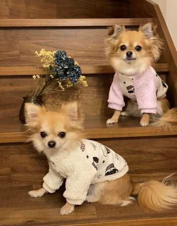 anirokitchenさんの作品