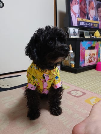 はにまる8008さんの作品