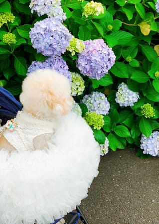 Infinityさんの作品