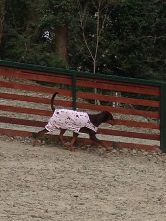 Aliceさんの作品