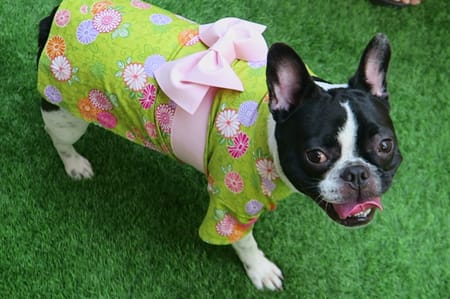 げんこつママさんの作品