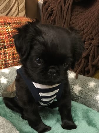 かんれいさんの作品