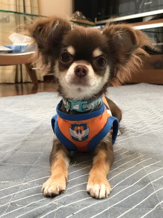 たーやさんの作品