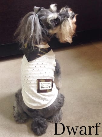 Dwarfさんの作品