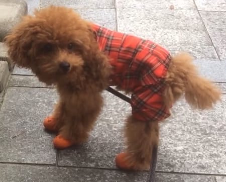 よったんさんの作品