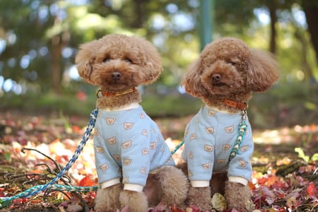 あいこっちさんの作品