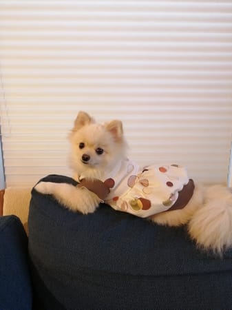 にこママさんの作品