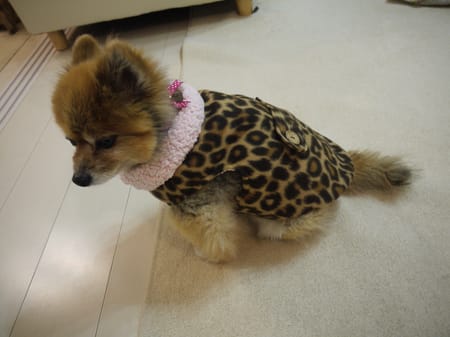 milk☆さんの作品