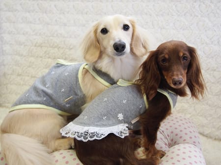 mamehanasoraさんの作品