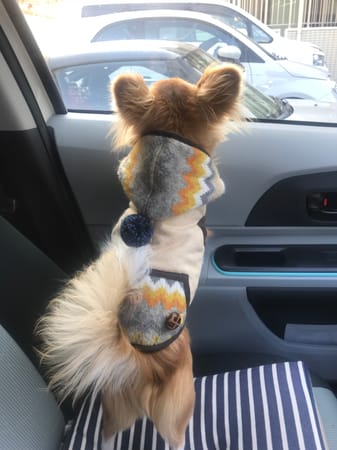 へまちゃんさんの作品