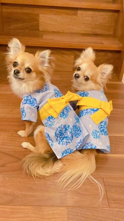 anirokitchenさんの作品