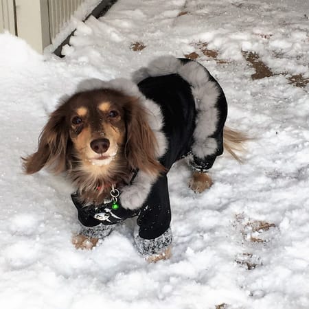 みにくろりんさんの作品