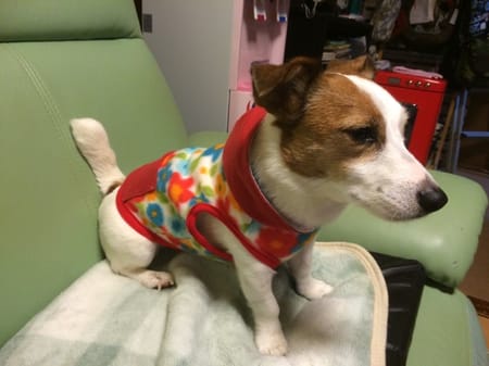 Peanutsさんの作品