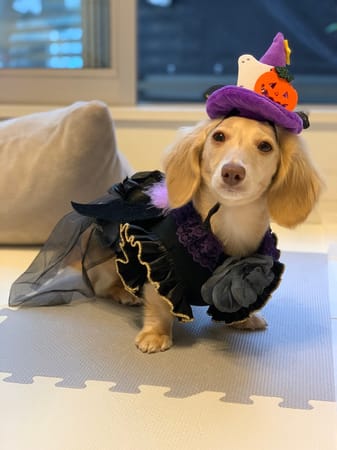 チーママさんの作品