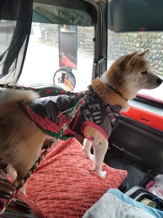 mizukiakiraさんの作品