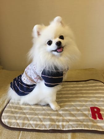 Raku-Naさんの作品