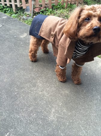 パコさんの作品