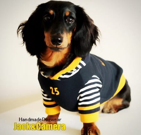 akizoo88さんの作品