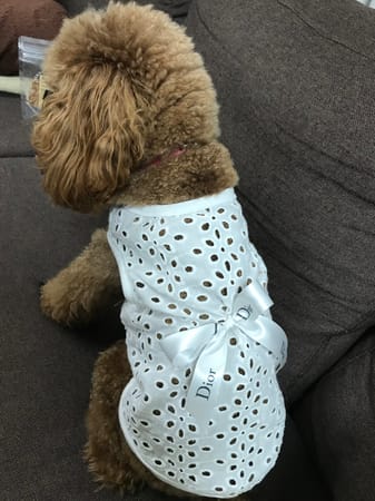 あられママさんの作品