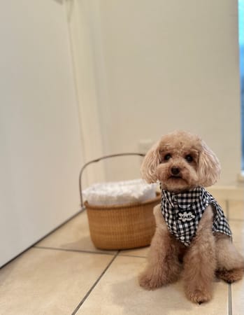 karlmamaさんの作品