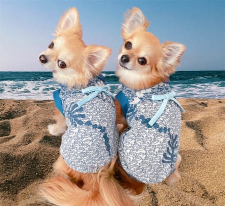 anirokitchenさんの作品