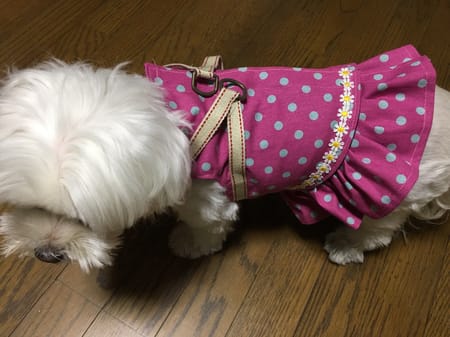 柚子さんの作品