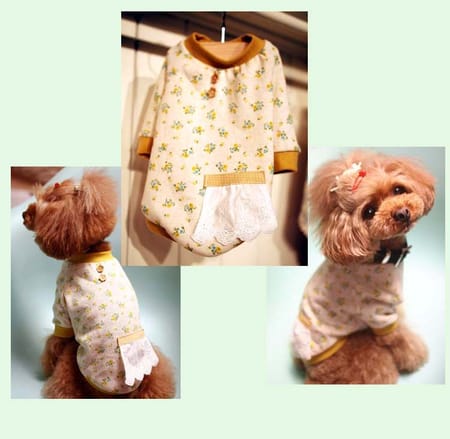 ぴあるさんの作品