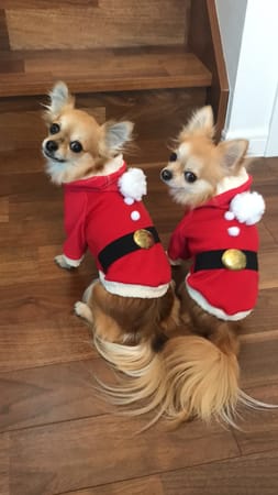 anirokitchenさんの作品