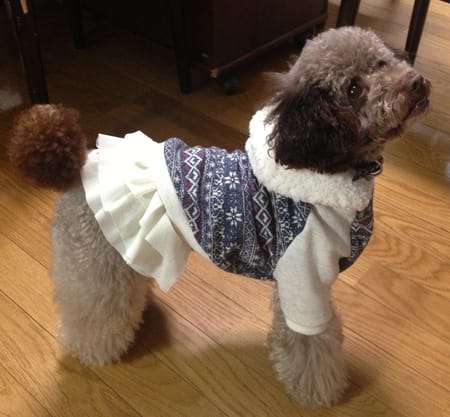 あっこさんの作品