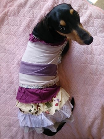 きよぽんさんの作品