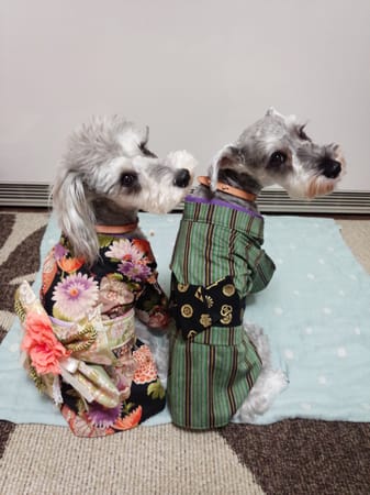 なっちゃちゃママさんの作品