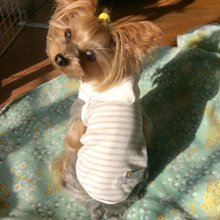 erikoさんの作品