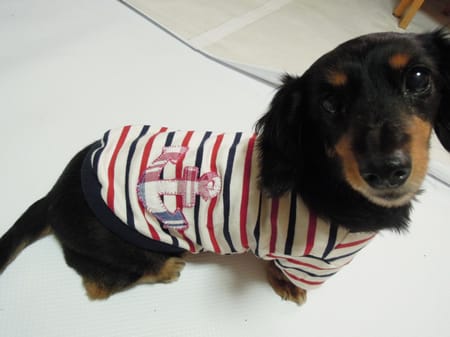 ライさんの作品