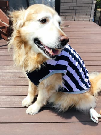 Crazy7さんの作品