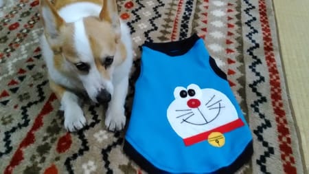 にゃん太さんの作品