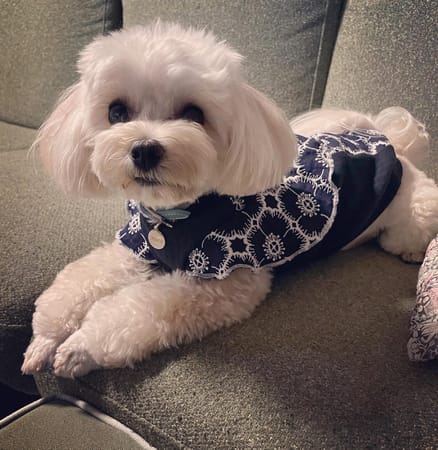 kukka69sさんの作品