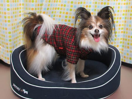 はるさんの作品