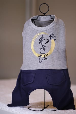 Princessmiyaさんの作品