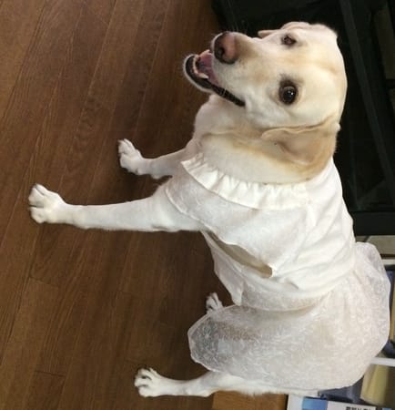 ていさんさんの作品