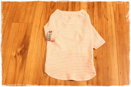 Lilyママさんの作品