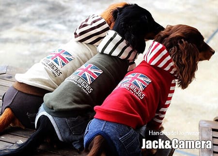 akizoo88さんの作品