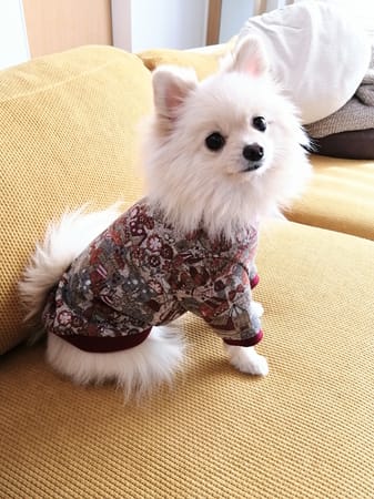 にこママさんの作品