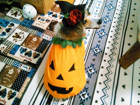 にゃん太さんの作品