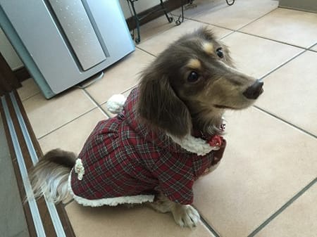 みにくろりんさんの作品