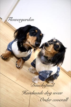 やすやすさんの作品